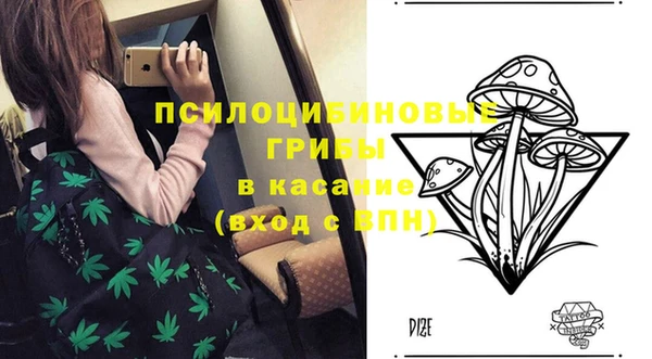 apvp Елизово