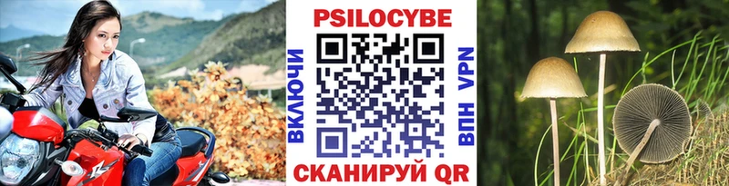 Псилоцибиновые грибы мицелий  Купить где  Калязин 